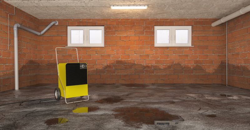 Basement Water Cleanup in Mesa, AZ