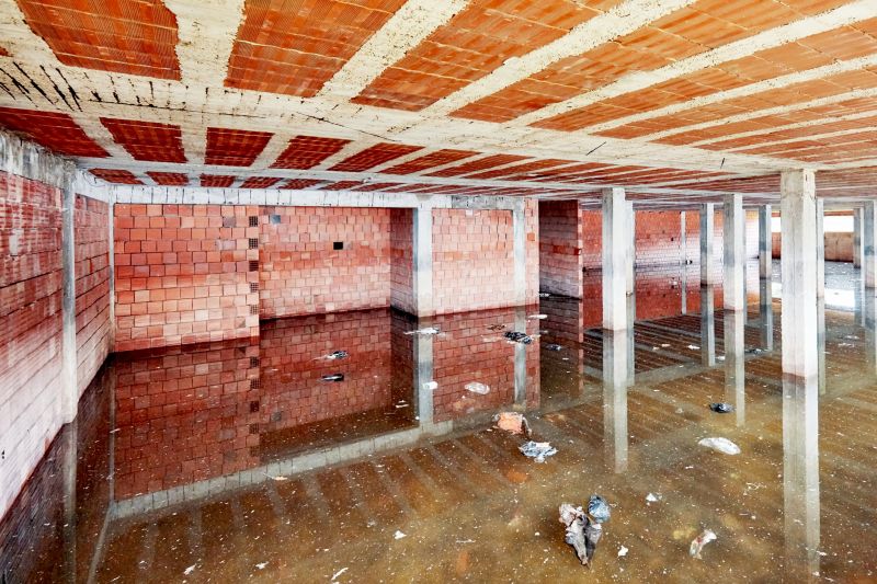 Crawlspace Water Restoration in Phoenix, AZ