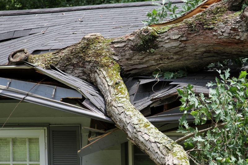 Storm Damage Cleanup in Phoenix, AZ