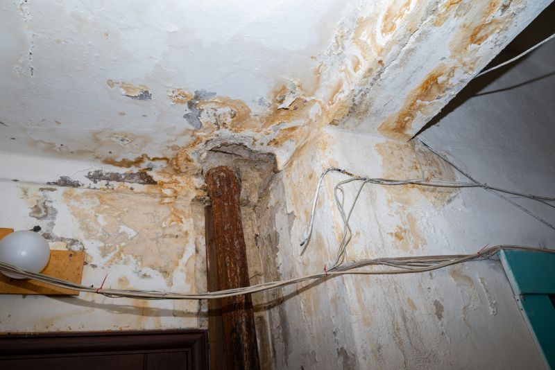 Water Damage Cleanup in Scottsdale, AZ