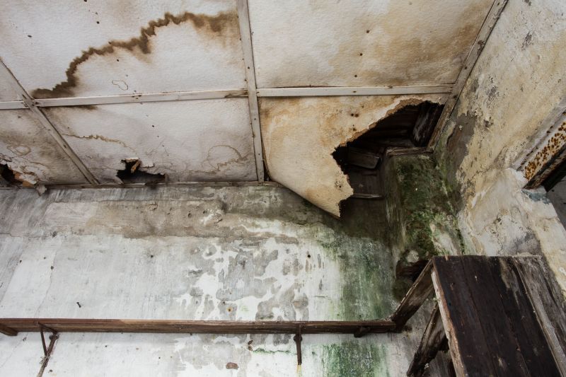 Water Damage Mitigation in Scottsdale, AZ