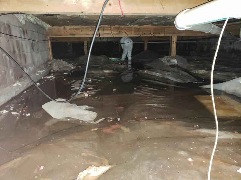 Water Extraction Service in Gilbert, AZ